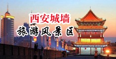 骚逼操逼吃大鸡巴射精网站资源视频中国陕西-西安城墙旅游风景区